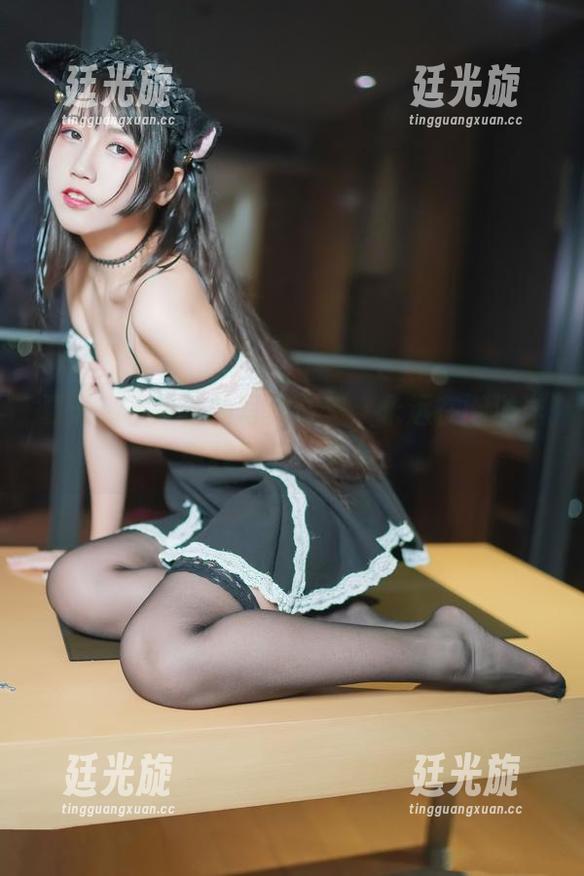 夏天，不呆猫的写真合集：永远在懒洋洋中找到另一种美。
