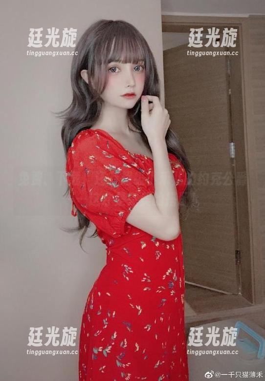 免费、下载、还有超级小禾儿的约克公爵——这才是完美的搭配！